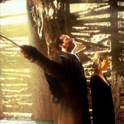 糖果人2：腥风血雨 Candyman: Farewell to the Flesh