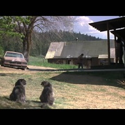 点击查看图片 未竟一生 An Unfinished Life