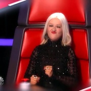 点击查看图片 美国之声 第五季 The Voice Season 5