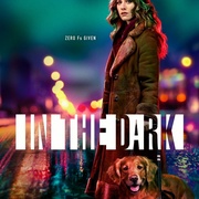 点击查看图片 暗中 第一季 In the Dark Season 1