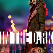 点击查看图片 暗中 第一季 In the Dark Season 1