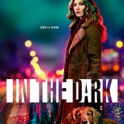 点击查看图片 暗中 第一季 In the Dark Season 1