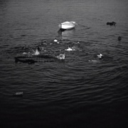 点击查看图片 海牙 Les maudits