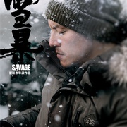 点击查看图片 雪暴