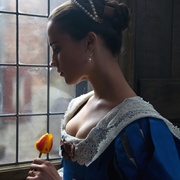 狂热郁金香 Tulip Fever
