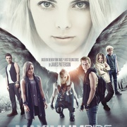 疾速天使 Maximum Ride