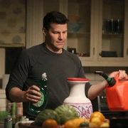 点击查看图片 识骨寻踪 第九季 Bones Season 9