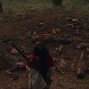 猎鸟 Birdshot