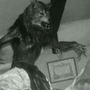 点击查看图片 闪灵战士 Dog Soldiers