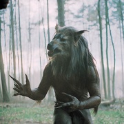 点击查看图片 闪灵战士 Dog Soldiers