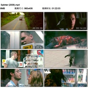点击查看图片 刺 Splinter