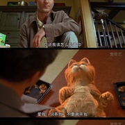 加菲猫 Garfield