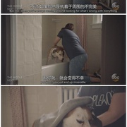 点击查看图片 萌犬先生 Downward Dog