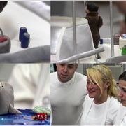 点击查看图片 蛋糕店老板 第一季 Cake Boss Season 1