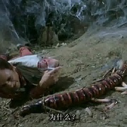 点击查看图片 天外魔蛛 Arachnid