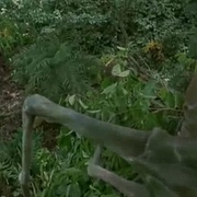 点击查看图片 天外魔蛛 Arachnid
