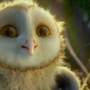 猫头鹰王国：守卫者传奇 Legend of the Guardians: The Owls of Ga'Hoole