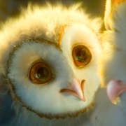 猫头鹰王国：守卫者传奇 Legend of the Guardians: The Owls of Ga'Hoole