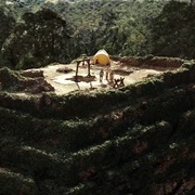 恐怖废墟 The Ruins