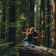 瑞士军刀男 Swiss Army Man