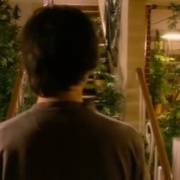 点击查看图片 我家种大麻 Growing Op