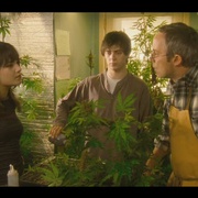 点击查看图片 我家种大麻 Growing Op