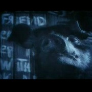 点击查看图片 动物农庄 Animal Farm
