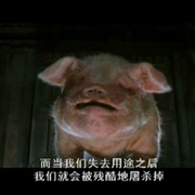 点击查看图片 动物农庄 Animal Farm