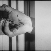 点击查看图片 一条安达鲁狗 Un chien andalou