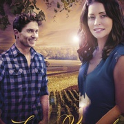 点击查看图片 爱在葡萄园 Love in the Vineyard