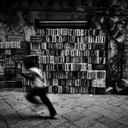 点击查看图片 帕勒莫枪击案 Palermo Shooting