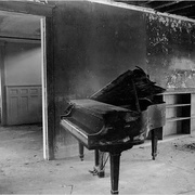 点击查看图片 灰色花园 Grey Gardens