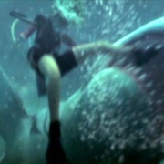 夺命双头鲨 2-Headed Shark Attack