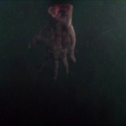 夺命双头鲨 2-Headed Shark Attack