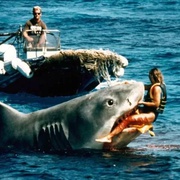 大白鲨4 Jaws: The Revenge