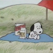 史努比的惊险夏令营 Race for Your Life, Charlie Brown