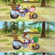 史努比的惊险夏令营 Race for Your Life, Charlie Brown