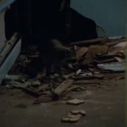 点击查看图片 灰色花园中的比尔母女 The Beales of Grey Gardens