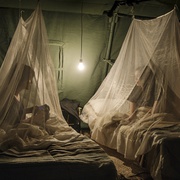 点击查看图片 一千次晚安 Tusen ganger god natt
