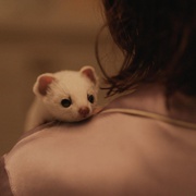 黑暗物质三部曲 第一季 His Dark Materials Season 1