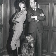 点击查看图片 糊涂侦探 第一季 Get Smart Season 1