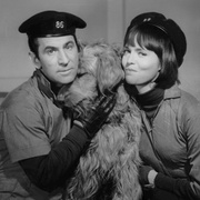 点击查看图片 糊涂侦探 第一季 Get Smart Season 1