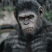 点击查看图片 猩球崛起2:黎明之战 Dawn of the Planet of the Apes