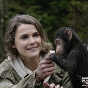 点击查看图片 猩球崛起2:黎明之战 Dawn of the Planet of the Apes