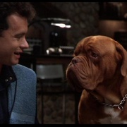 点击查看图片 古惑丑拍档 Turner & Hooch