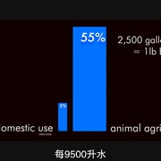 点击查看图片 奶牛阴谋:永远不能说的秘密 Cowspiracy: The Sustainability Secret