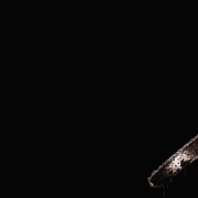点击查看图片 德州电锯杀人狂3D Texas Chainsaw 3D