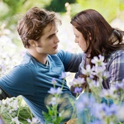 点击查看图片 暮光之城3:月食 The Twilight Saga: Eclipse