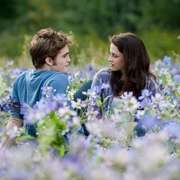 点击查看图片 暮光之城3:月食 The Twilight Saga: Eclipse