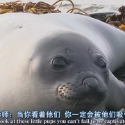 点击查看图片 生命 Life